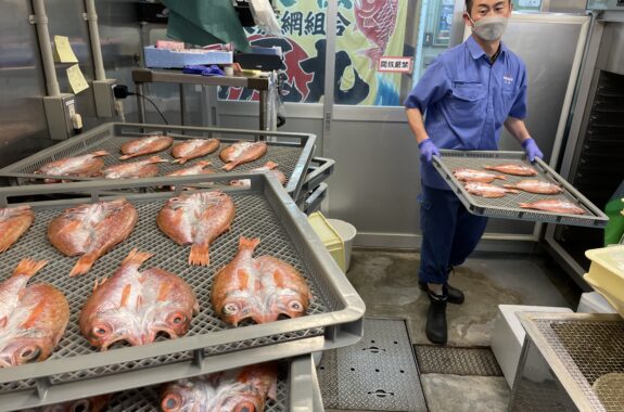 自家製 超特大ノドグロ一夜干し